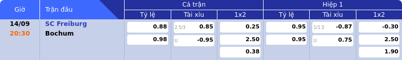 Thông tin bảng tỷ lệ kèo bóng đá SC Freiburg vs Bochum